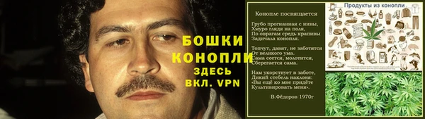 ПСИЛОЦИБИНОВЫЕ ГРИБЫ Арсеньев