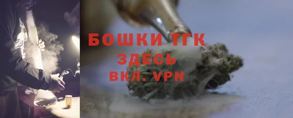 ПСИЛОЦИБИНОВЫЕ ГРИБЫ Арсеньев