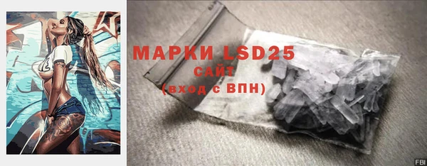 ПСИЛОЦИБИНОВЫЕ ГРИБЫ Арсеньев