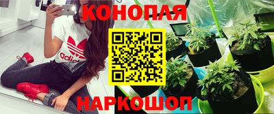 Альфа ПВП Белореченск