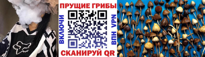 Галлюциногенные грибы MAGIC MUSHROOMS  Белогорск 
