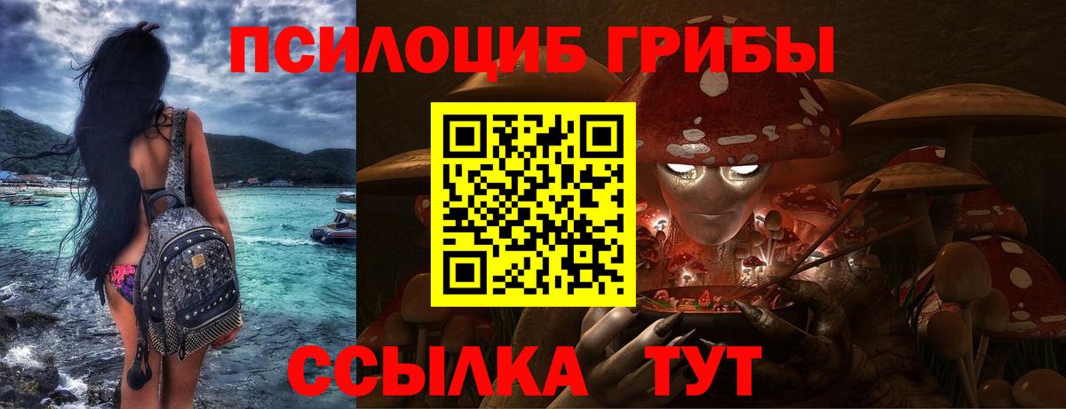 Галлюциногенные грибы Psilocybe  Вход с VPN  Галлюциногенные грибы Magic Shrooms  Белогорск 